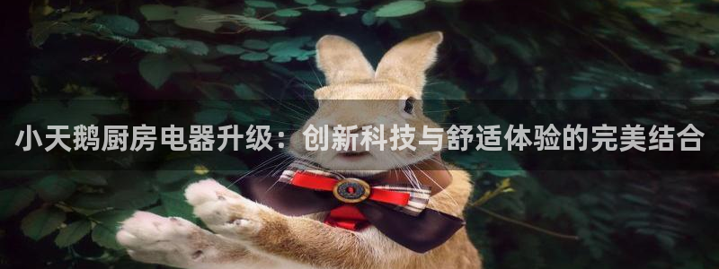 菲律宾鸿运彩票平台