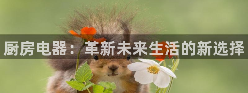 鸿运投注平台
