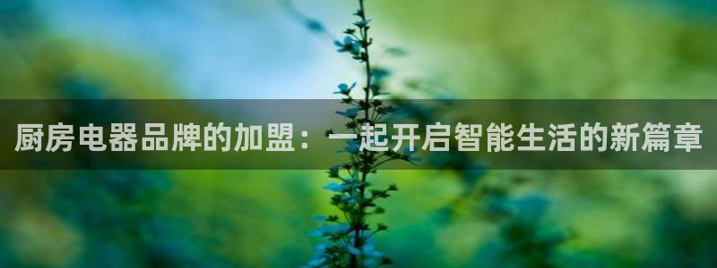 香港鸿运投资平台