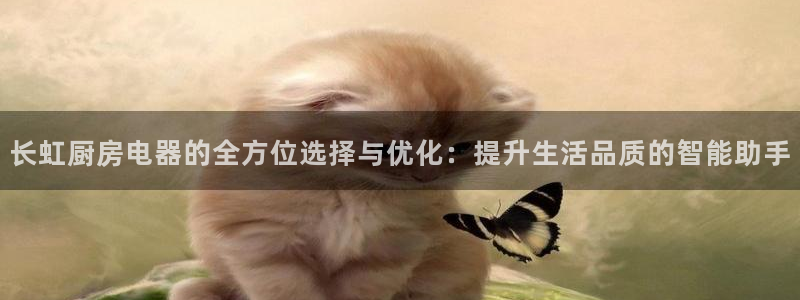 鸿运彩 票诈骗平台