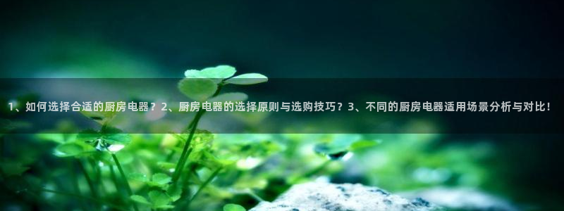 鸿运集团直播卖货平台