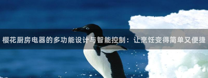 鸿运棋牌直播平台