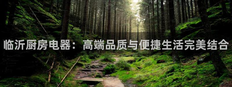 鸿运资本平台被骗