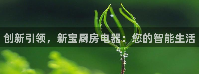 鸿运国际平台