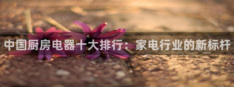 鸿运28微信平台