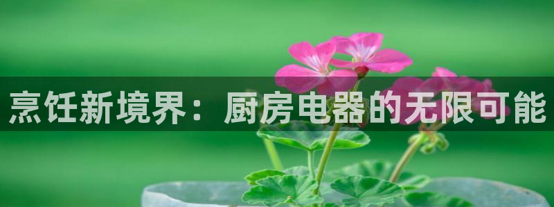 香港鸿运黑平台