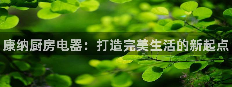鸿运投资平台是什么