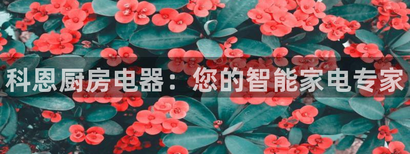 鸿运28微信平台