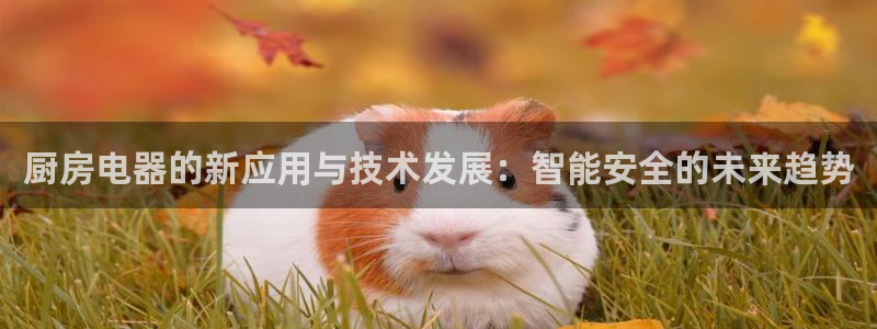 鸿运平台平台