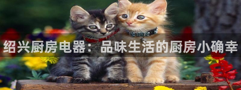 鸿运电商平台