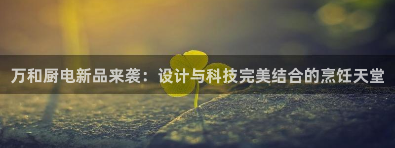 鸿运物流信息平台