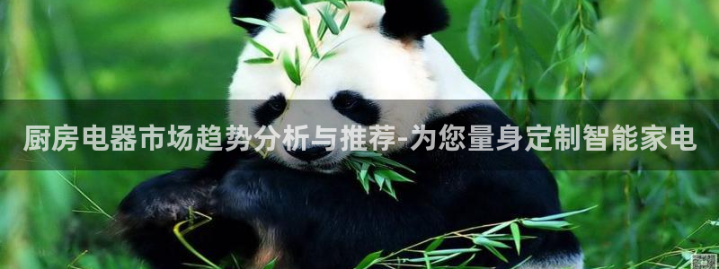 琥珀鸿运平台靠谱吗