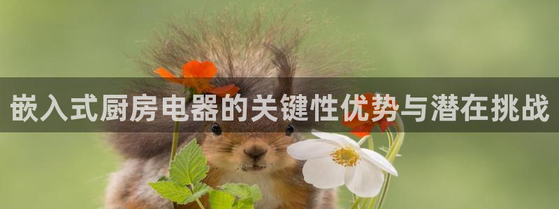 鸿运彩票平台黑