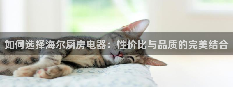 鸿运宝理财平台