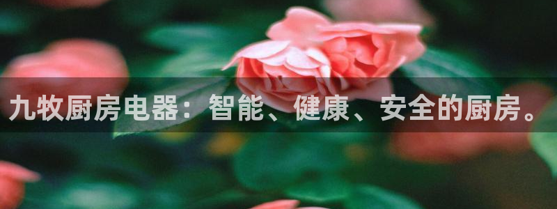 鸿运平台主管