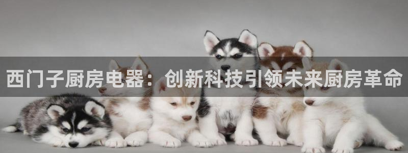鸿运赌城线上平台