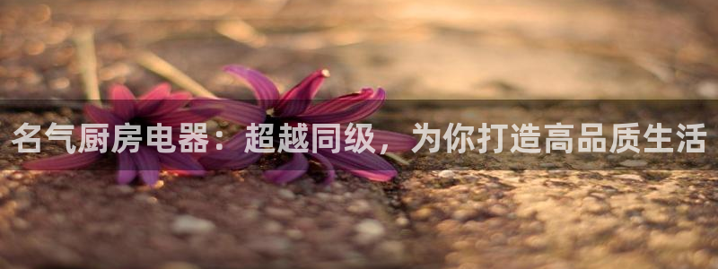 鸿运国际app平台