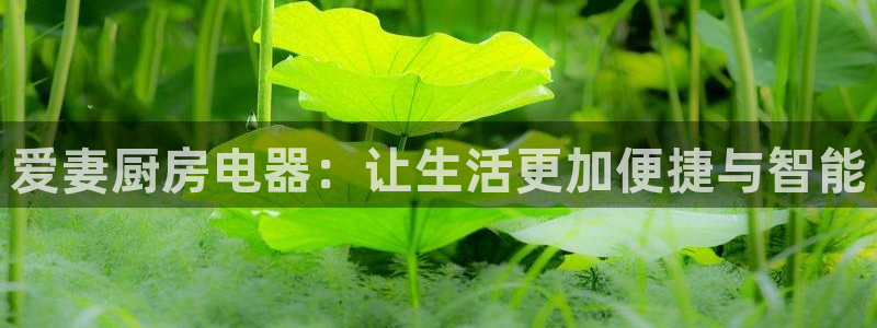 鸿运平台推荐机制