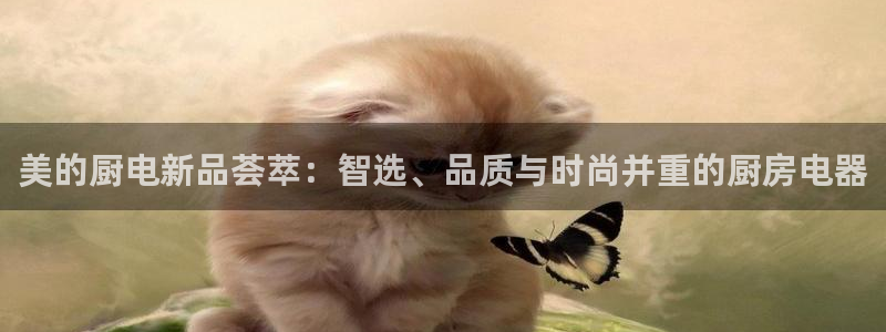 鸿运当头直播平台