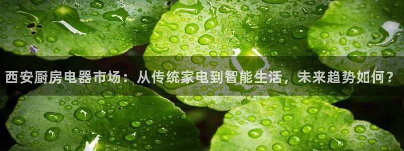 鸿运赌场视讯平台