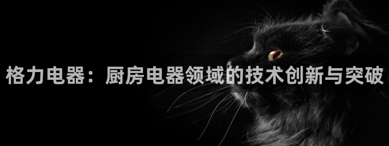 鸿运矿机平台