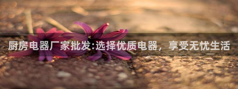 鸿运讲堂平台