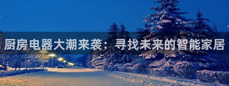 鸿运国际赌场平台