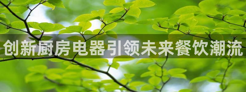 鸿运网彩票平台