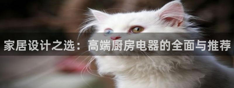 鸿运国际平台平台介绍