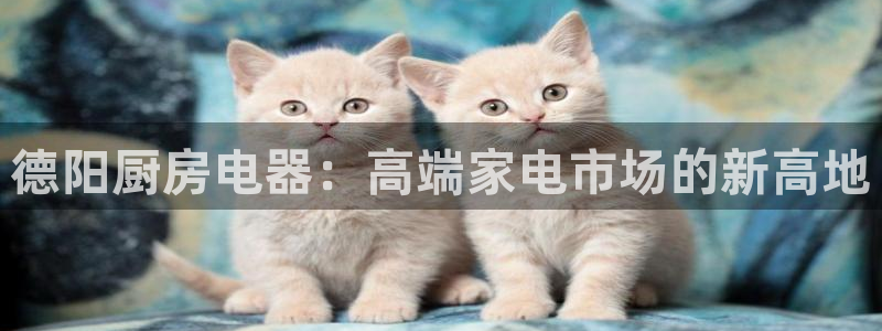 鸿运在线投资平台
