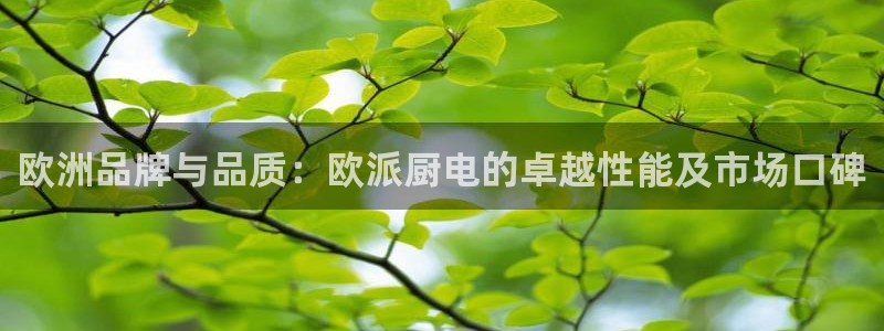 鸿运集团有几个平台
