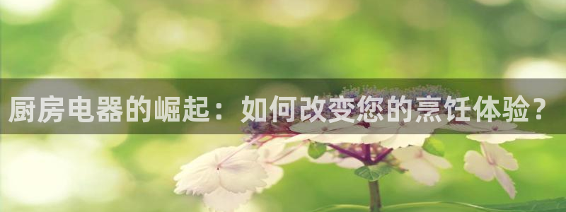 鸿运通借款平台