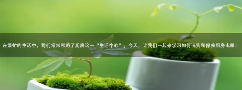 琥珀鸿运是啥平台