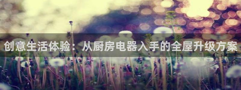 鸿运国际平台台