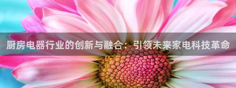 鸿运卡平台