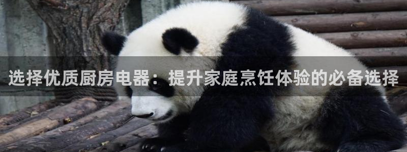 鸿运团队赚钱平台