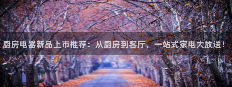 鸿运app直播平台