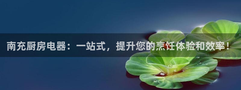 鸿运平台网投