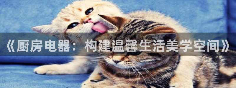 中国鸿运是什么平台