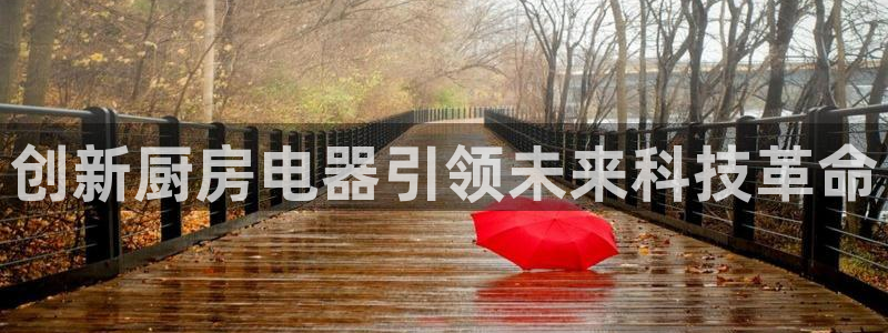 鸿运小说阅读平台