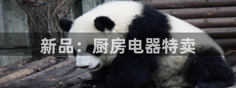鸿运彩票平台带玩