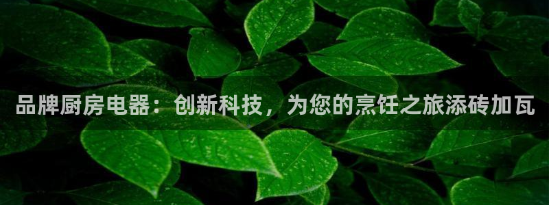 鸿运采平台