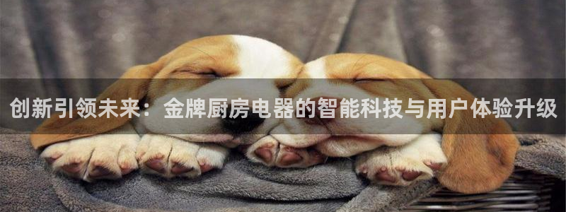 鸿运专业购彩平台网止