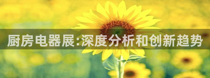鸿运是什么平台