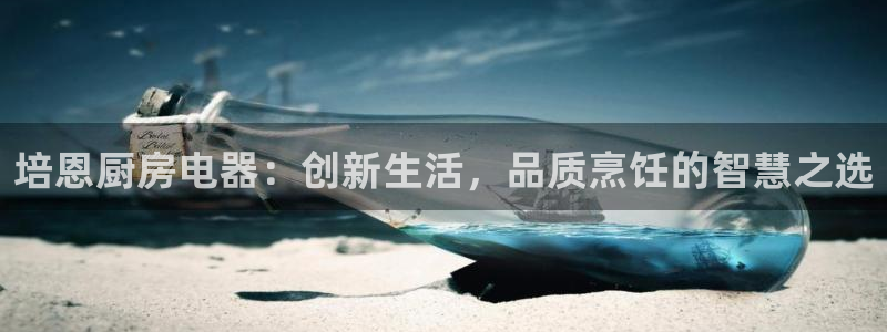 鸿运和拍拍卖平台