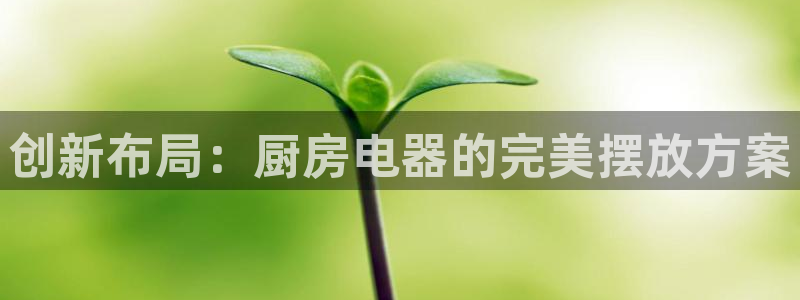 鸿运国际外汇平台