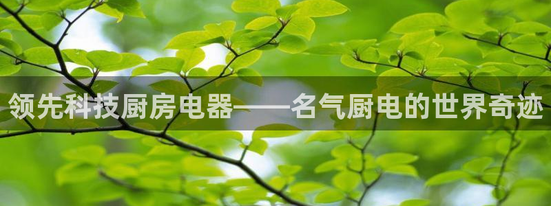 鸿运手游平台