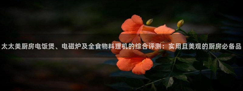 邹平台子鸿运