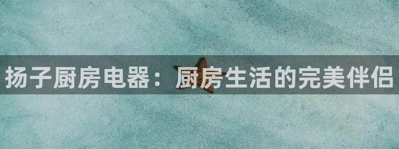 鸿运到平台