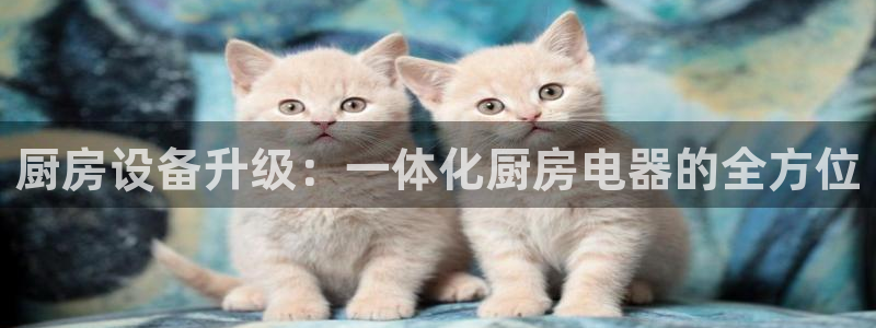 鸿运达交易平台